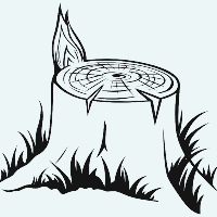 Over 20+ Years Of Experience