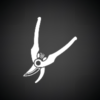 Over 20+ Years Of Experience