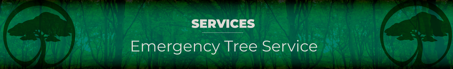 Tree Service 